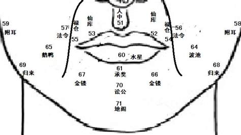 狗公鼻面相|麦玲玲面相讲座之 鼻子 – 人相学